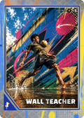 R10-SK012 - Basic Cards Skilled